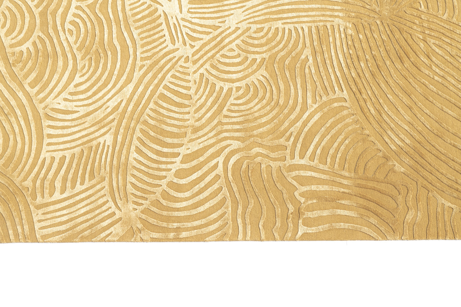 Coccoloba